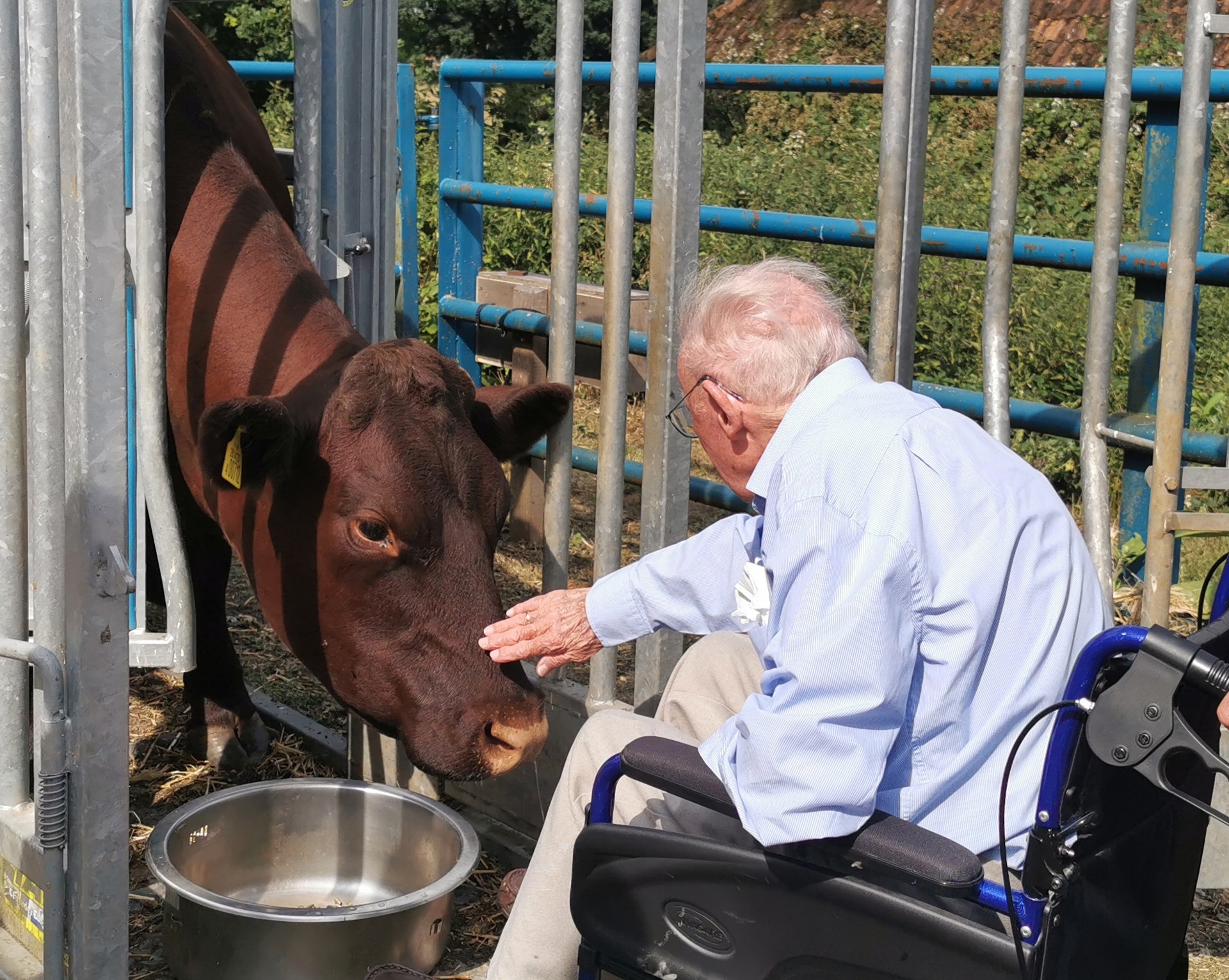 How-To-Keep-Call-In-Summer