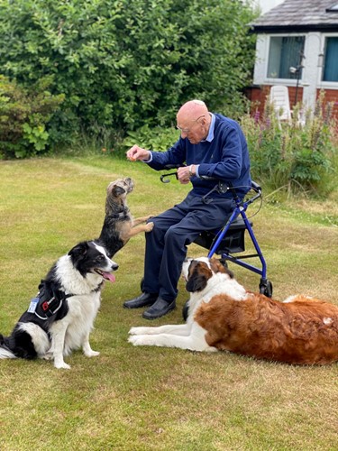 Elderly man sits on walker feeding dog while other dogs play around him